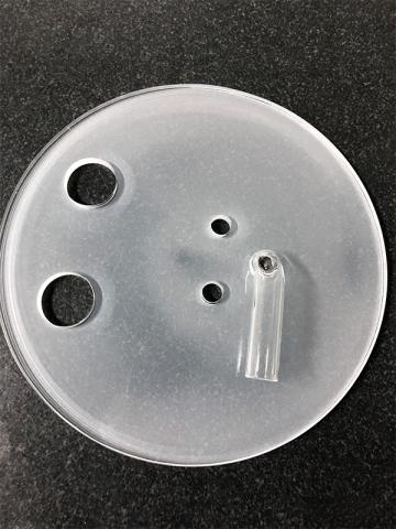 Quartz Cap